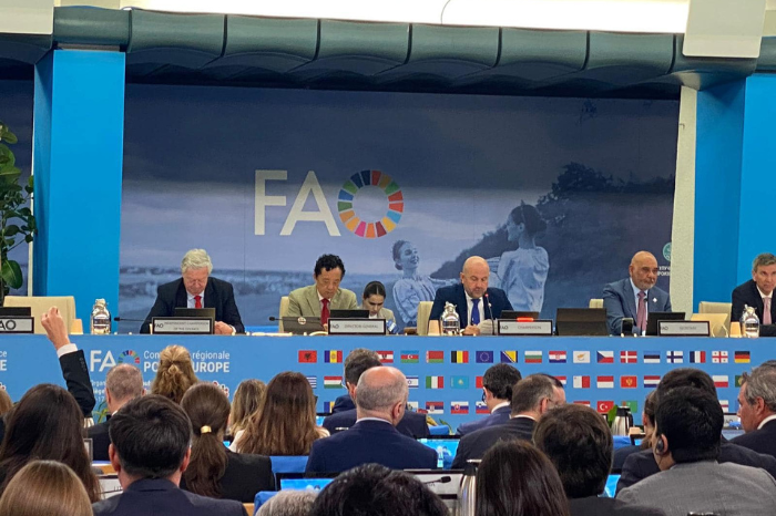 Vicepremierul Vladimir Bolea conduce cea de-a 34-a Sesiune a Conferinței Regionale FAO pentru Europa 