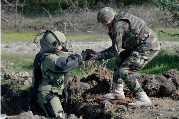 National Army sappers carried out 11 mine clearance missions in March
