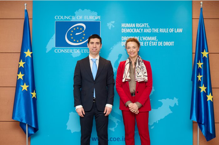 Moldovan diplomat meets Council of Europe official 
