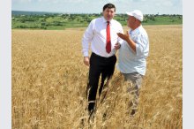 Agriculture and Food Industry Minister Eduard Grama made a working visit to the northern Rezina district, in the context of the harvest season.'