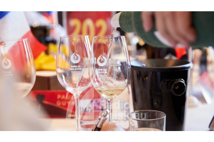 Молдавское вино завоевало 11 медалей на конкурсе в Испании