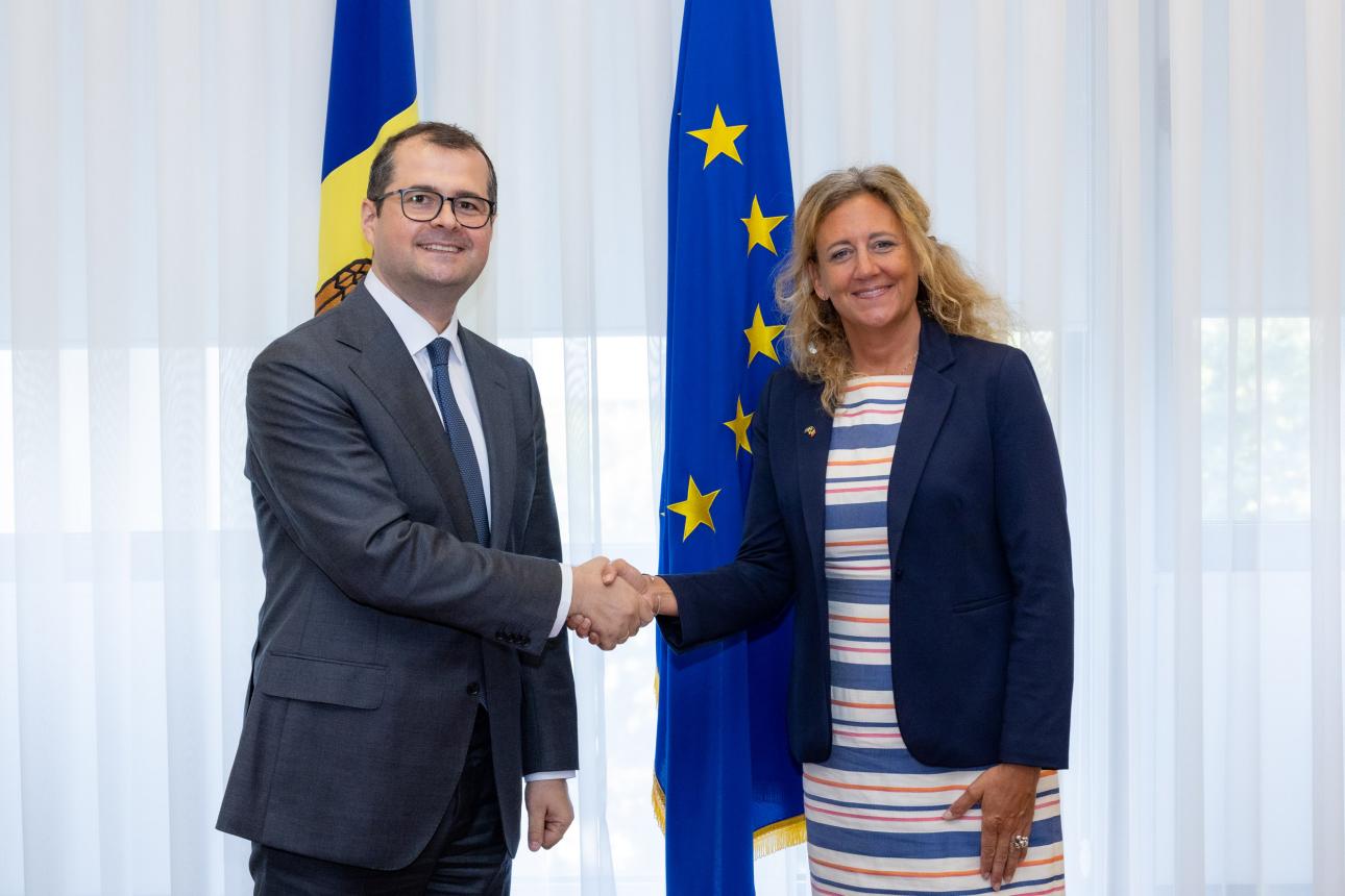 Consolidarea parteneriatului moldo-suedez, discutată de Prim-ministrul Vasile Tofan și Ambasadoarea Suediei, Petra Lärke