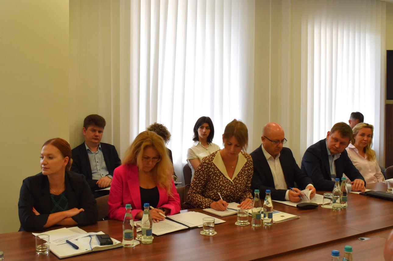 Grupurile de lucru pentru economie s-au întrunit într-o nouă ședință