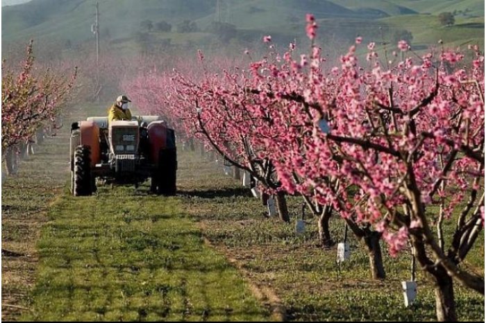 TOP 5 achievements in agriculture: farmer financing, record investments and decisive steps towards EU