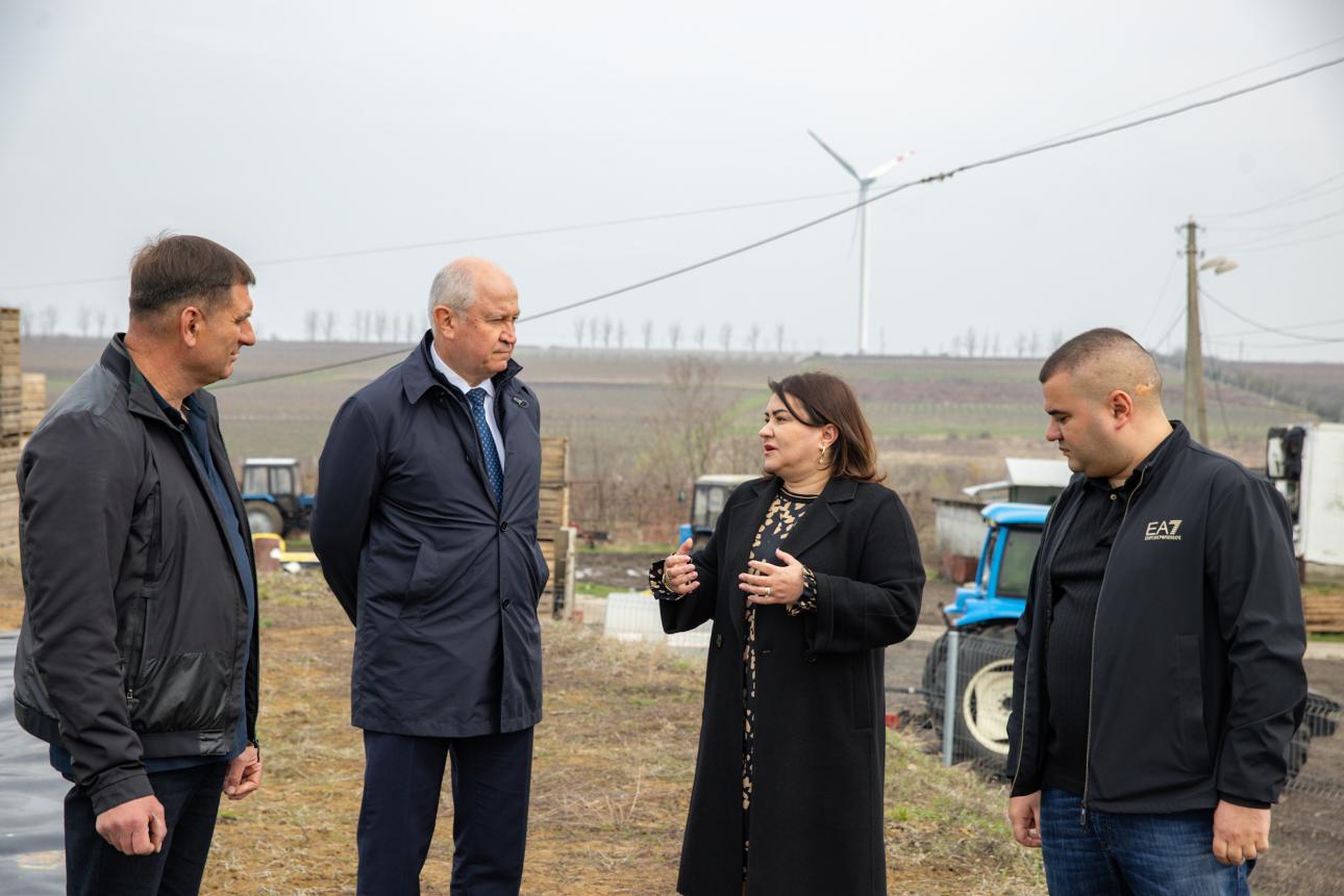 Premierul Alexandru Munteanu a vizitat o afacere agricolă din satul Unguri, raionul Ocnița
