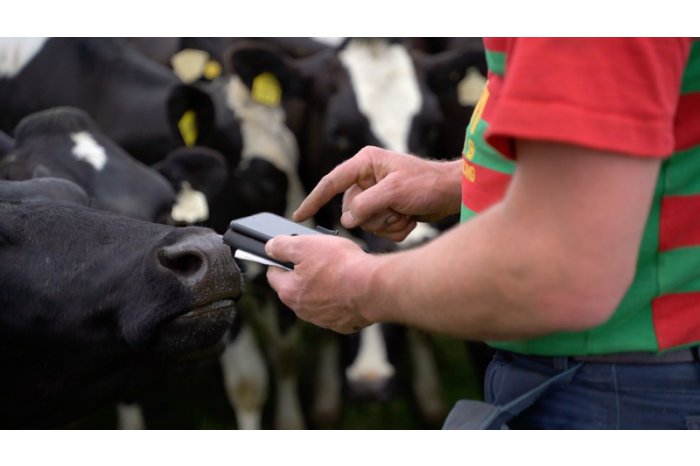 Parlamentul consolidează cadrul legal privind identificarea și înregistrarea animalelor
