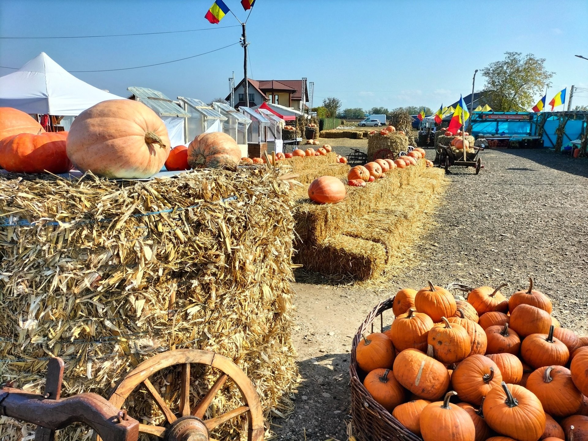 Descoperă Moldova cu #MOLDPRES: Povestea scrisă în gust a malurilor Nistrului devine noua busolă a călătorilor dornici de autentic şi experiențe culinare unice în Europa de Est