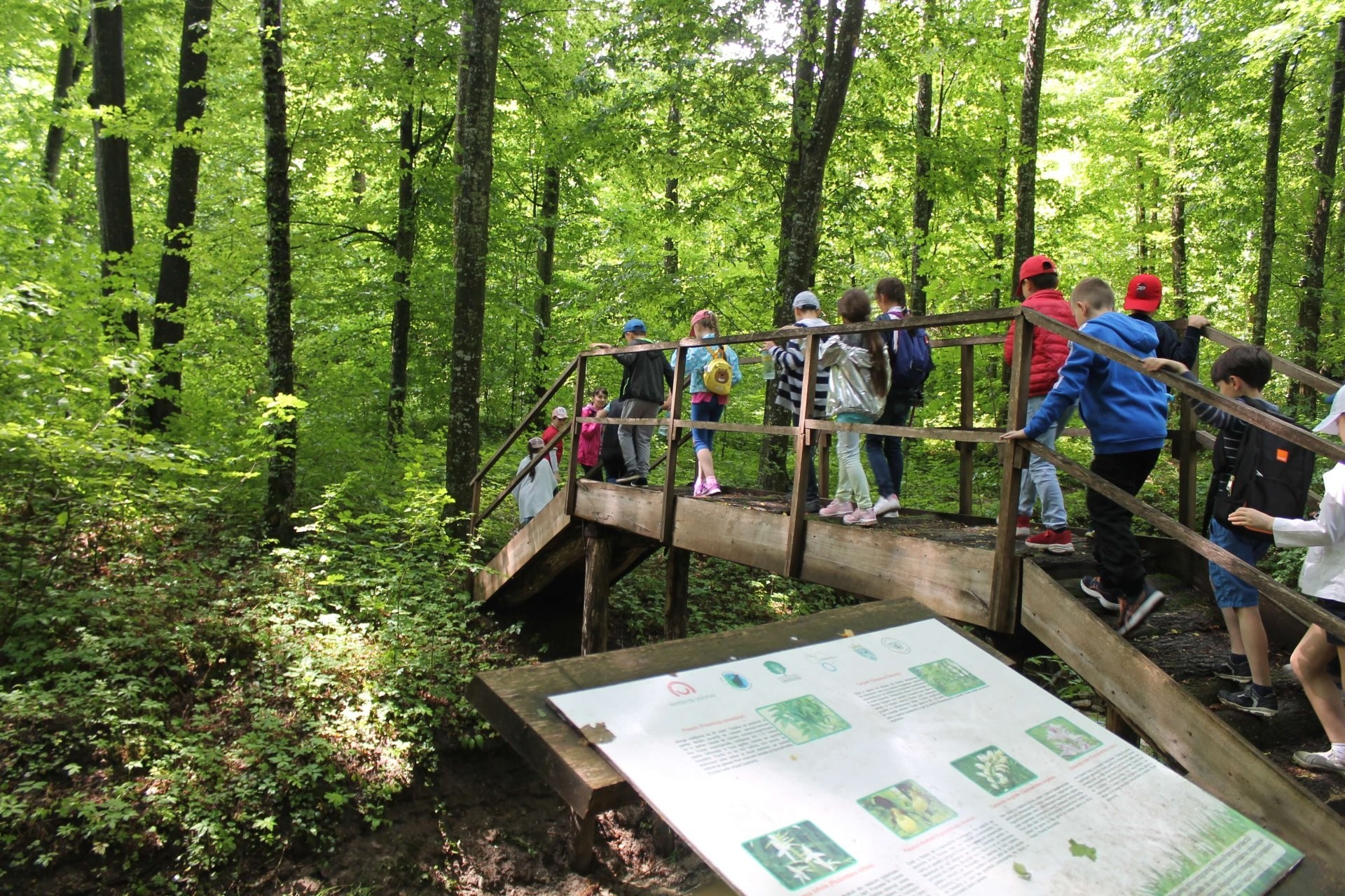 Drumul spre Rezervația Naturală „Plaiul Fagului” va fi modernizat cu o investiție de peste 35 milioane de lei