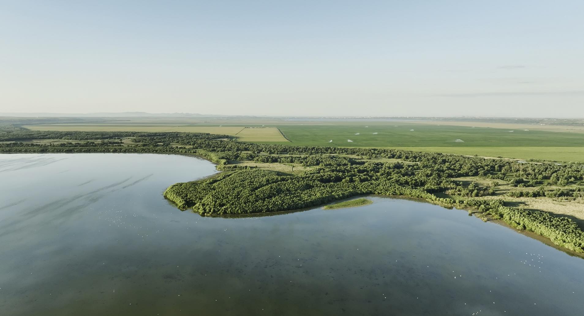 Președinta Maia Sandu, de Ziua Pământului: „Fiecare dintre noi trebuie să contribuie la protejarea naturii”