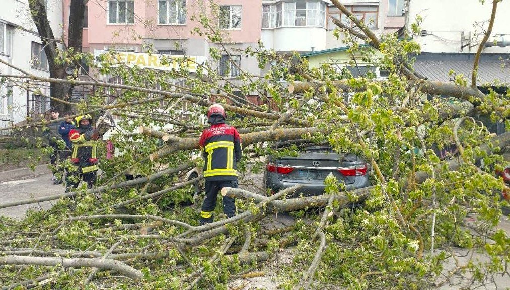 Mai mulți arbori doborâți și vehicule blocate în urma ploilor și vântului puternic. Salvatorii au intervenit pentru înlăturarea consecințelor