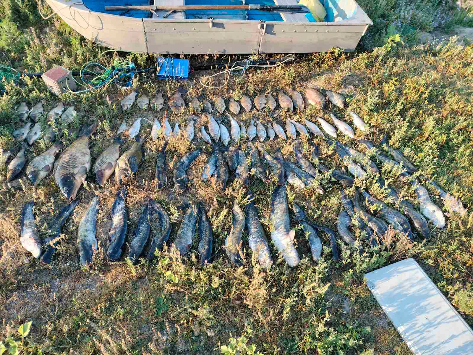 Braconaj piscicol pe Nistru: peste 55 de kilograme de pește capturate ilegal, prejudiciu estimat la 372.500 de lei