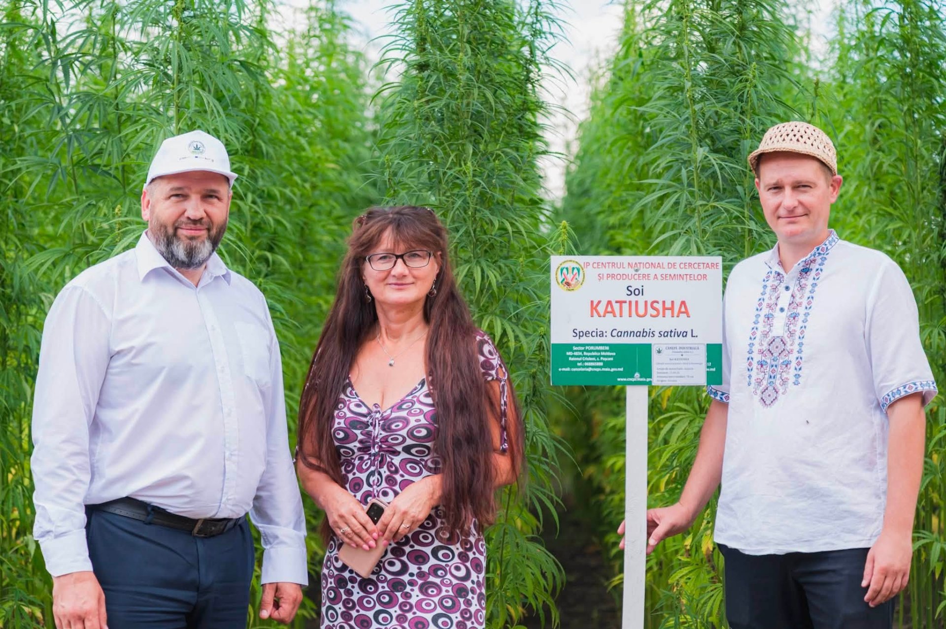 FOTO// R. Moldova testează noi soiuri de cânepă industrială și soia pentru diversificarea sectorului agricol