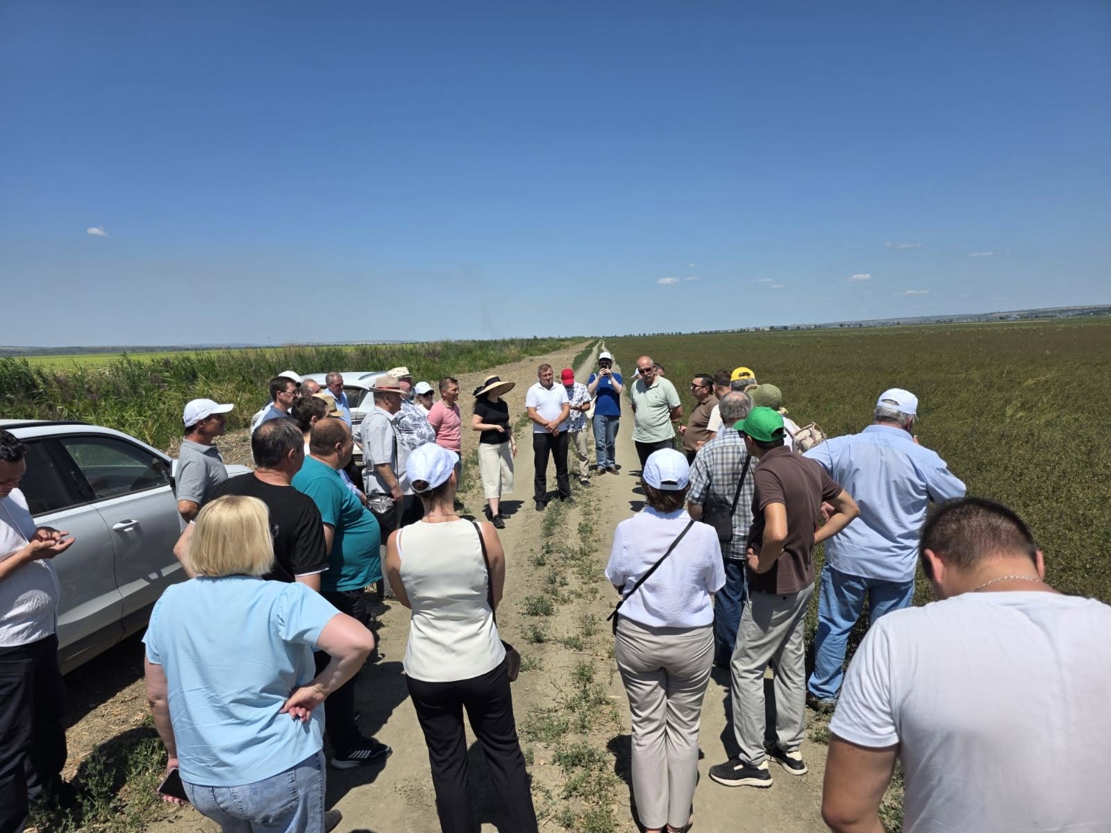 Raionul Cahul devine platformă de schimb de experiență pentru agricultura adaptată climei