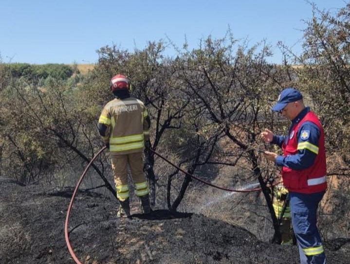 FOTO // Echipa de pompieri din Republica Moldova a intervenit la un incendiu de vegetație în Grecia