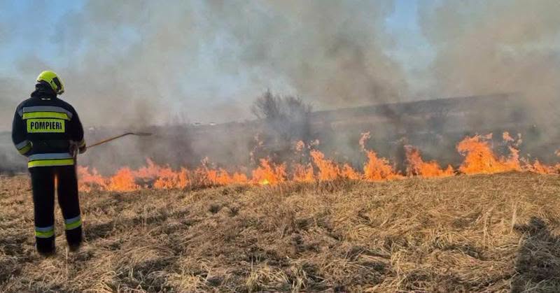Zeci de hectare de vegetație, mistuite de flăcări. Pompierii au avut 41 de intervenții într-o zi
