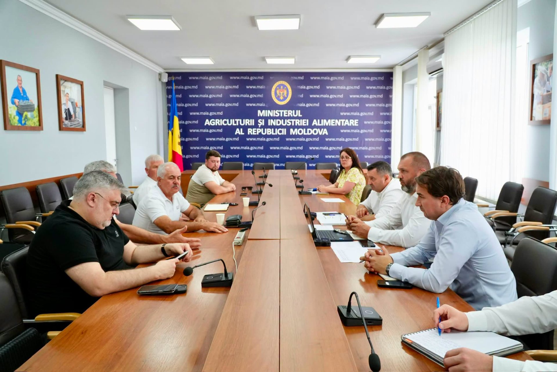 Producția de cereale și oleaginoase, evaluată de autorități și agricultori
