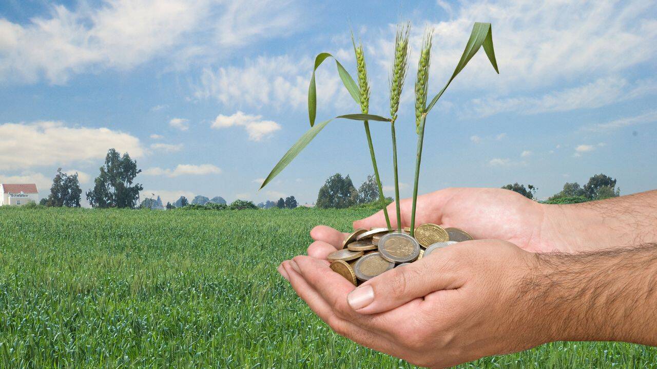 Sprijin pentru antreprenorii din domeniul agriculturii: 581 de afaceri au primit finanțare prin Programul FCA