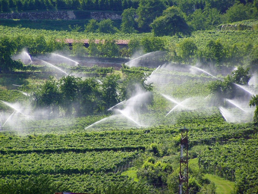 Antreprenori din cinci raioane vor beneficia de granturi pentru modernizarea sistemelor de irigare, cu sprijinul IFAD