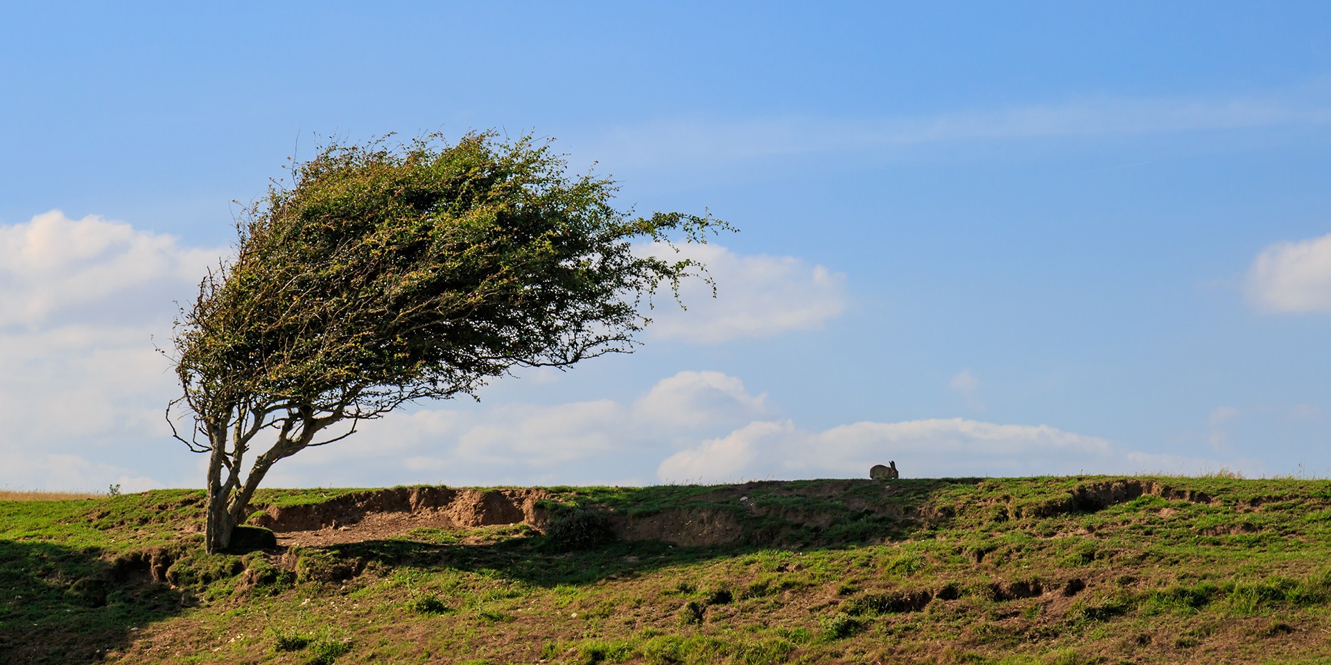 Meteorologii au emis Cod galben de vânt, cu rafale de până la 22 m/s