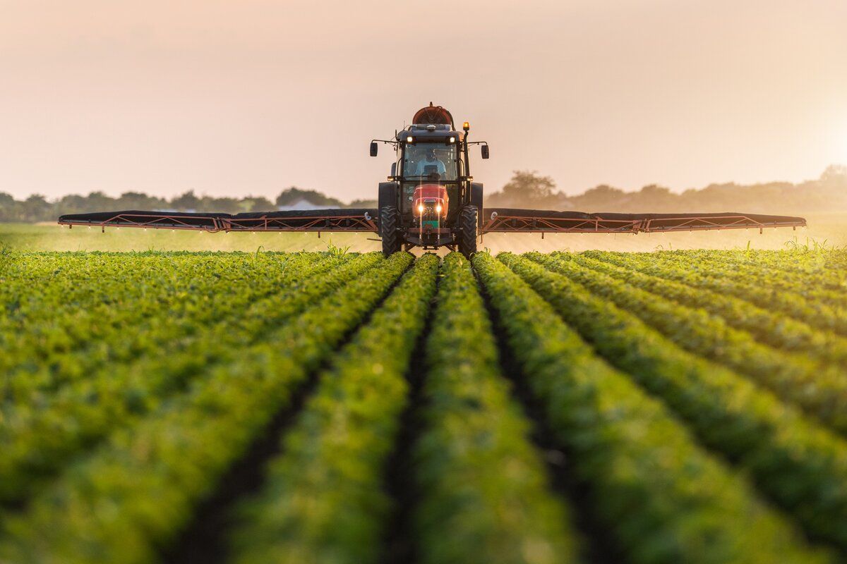 Cel puțin șapte miliarde lei vor fi mobilizate în următorii ani în investiții publice și private în sectorul agroalimentar
