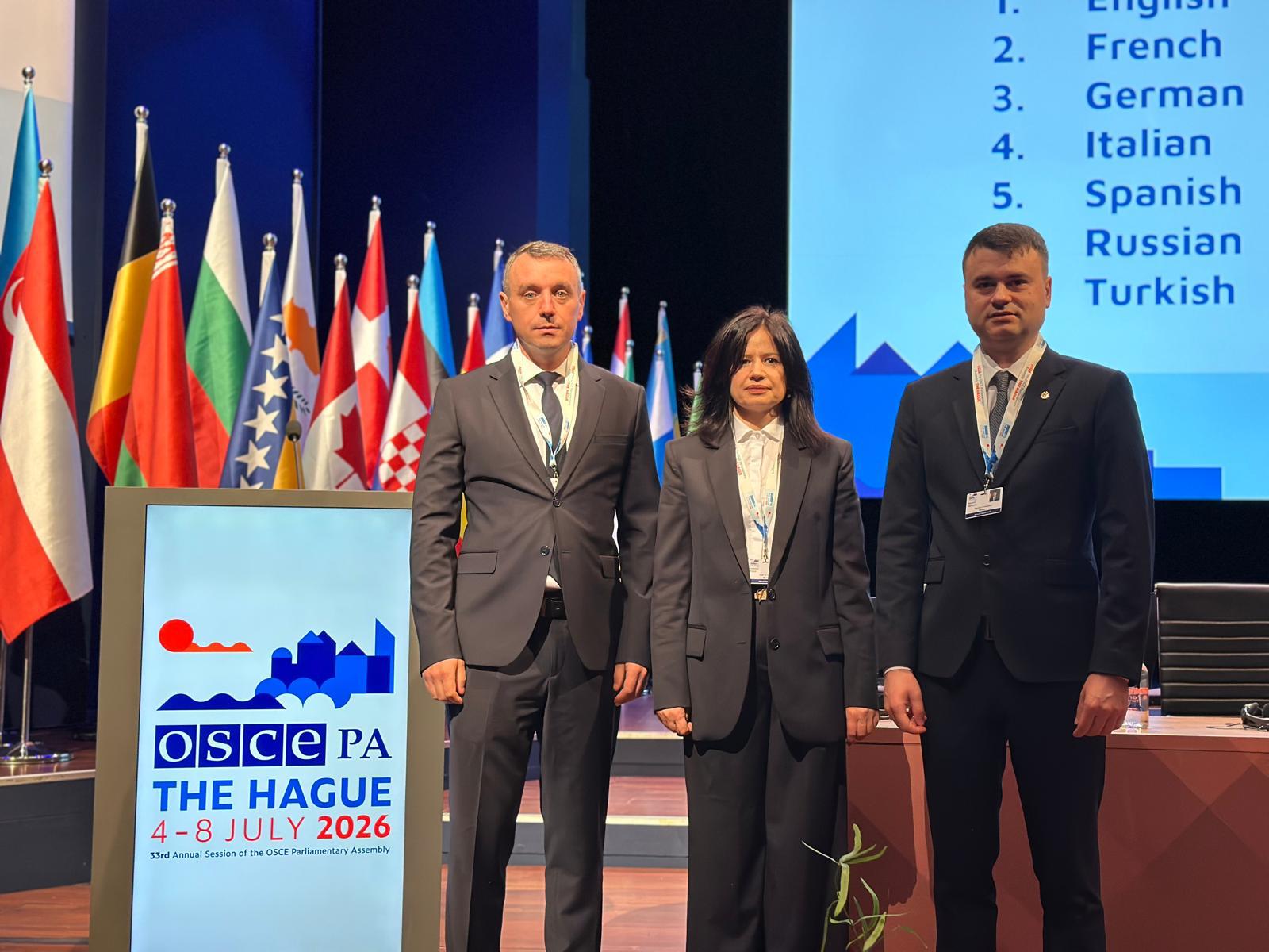 Parlamentarii moldoveni au prezentat prioritățile Republicii Moldova la Sesiunea AP OSCE de la Haga