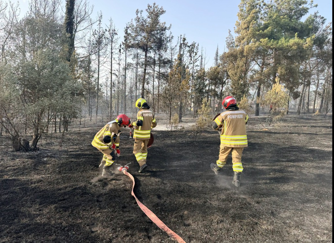 VIDEO // Pompierii moldoveni au lichidat un nou incendiu forestier izbucnit în apropiere de Salonic