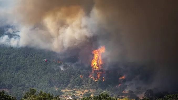 Incendii devastatoare în Franța și Spania: zeci de mii de oameni, evacuați