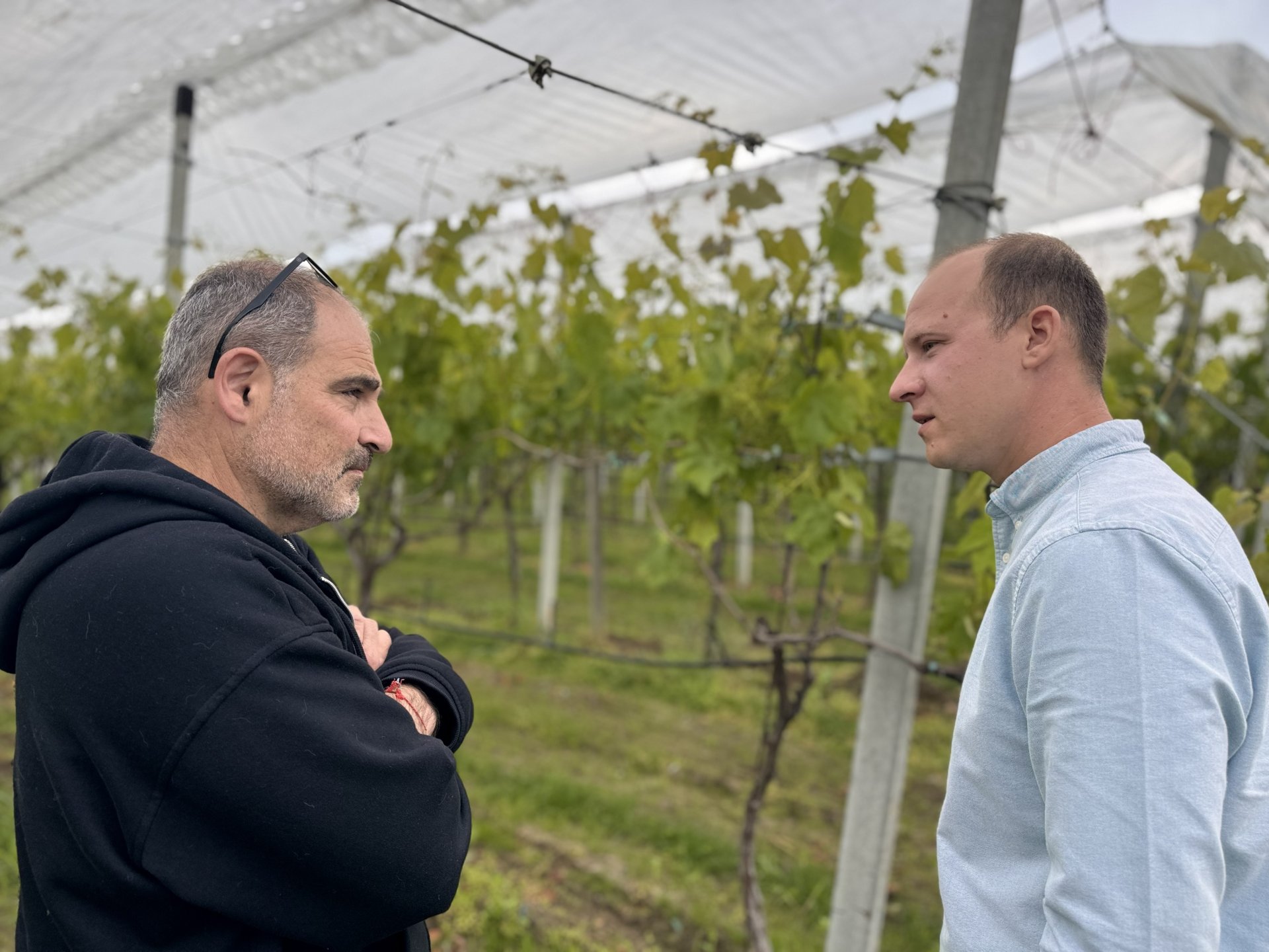 Noi oportunități pentru producătorii autohtoni: fructele din Moldova, evaluate de un importator elvețian pentru livrări în ambalaje destinate consumatorului final