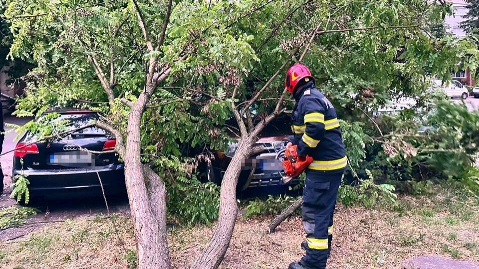 Cod galben de vânt: autoritățile au emis recomandări de siguranță pentru populație