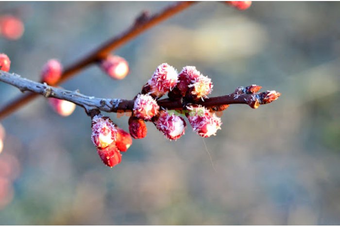 METEO // Precipitații și înghețuri prognozate pentru ziua de joi