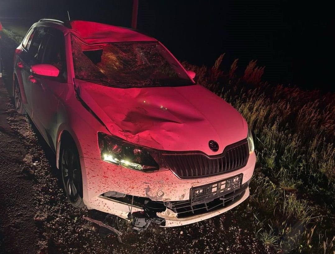 Un biciclist a fost lovit mortal în apropiere de Nicoreni, Drochia