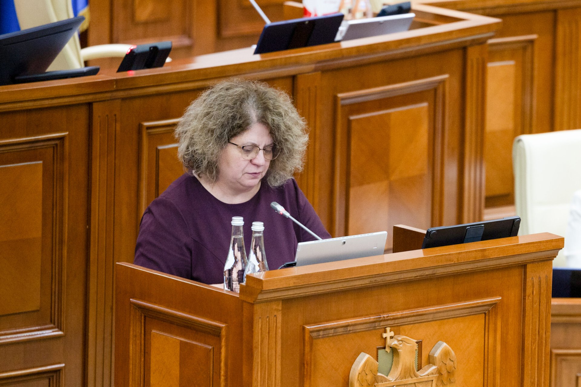 Parlamentul a votat noua Lege a mass-mediei. Liliana Nicolaescu-Onofrei: „Noua lege va consolida independența editorială și transparența”