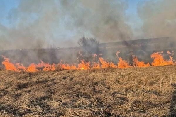 Meteorologii au emis Cod galben de pericol de incendiu în întreaga țară până pe 14 august