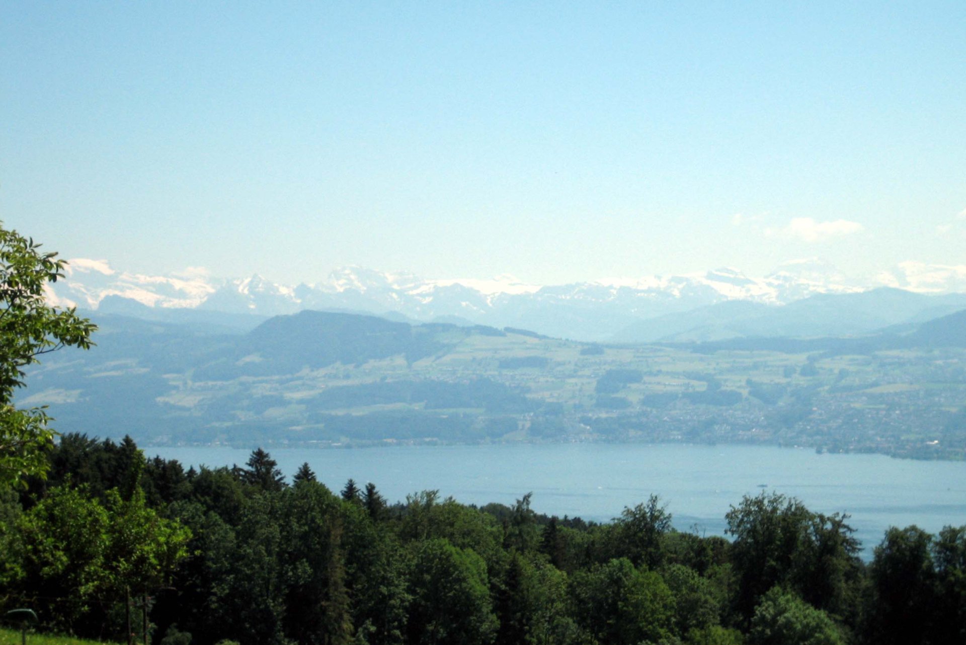 Apa Lacului Zurich a atins cel mai scăzut nivel din ultimii 75 de ani din cauza secetei severe din Elveția