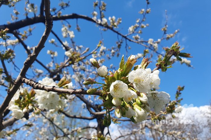 Cer variabil și maxime de până la 15 grade Celsius, prognozate pentru ziua de miercuri