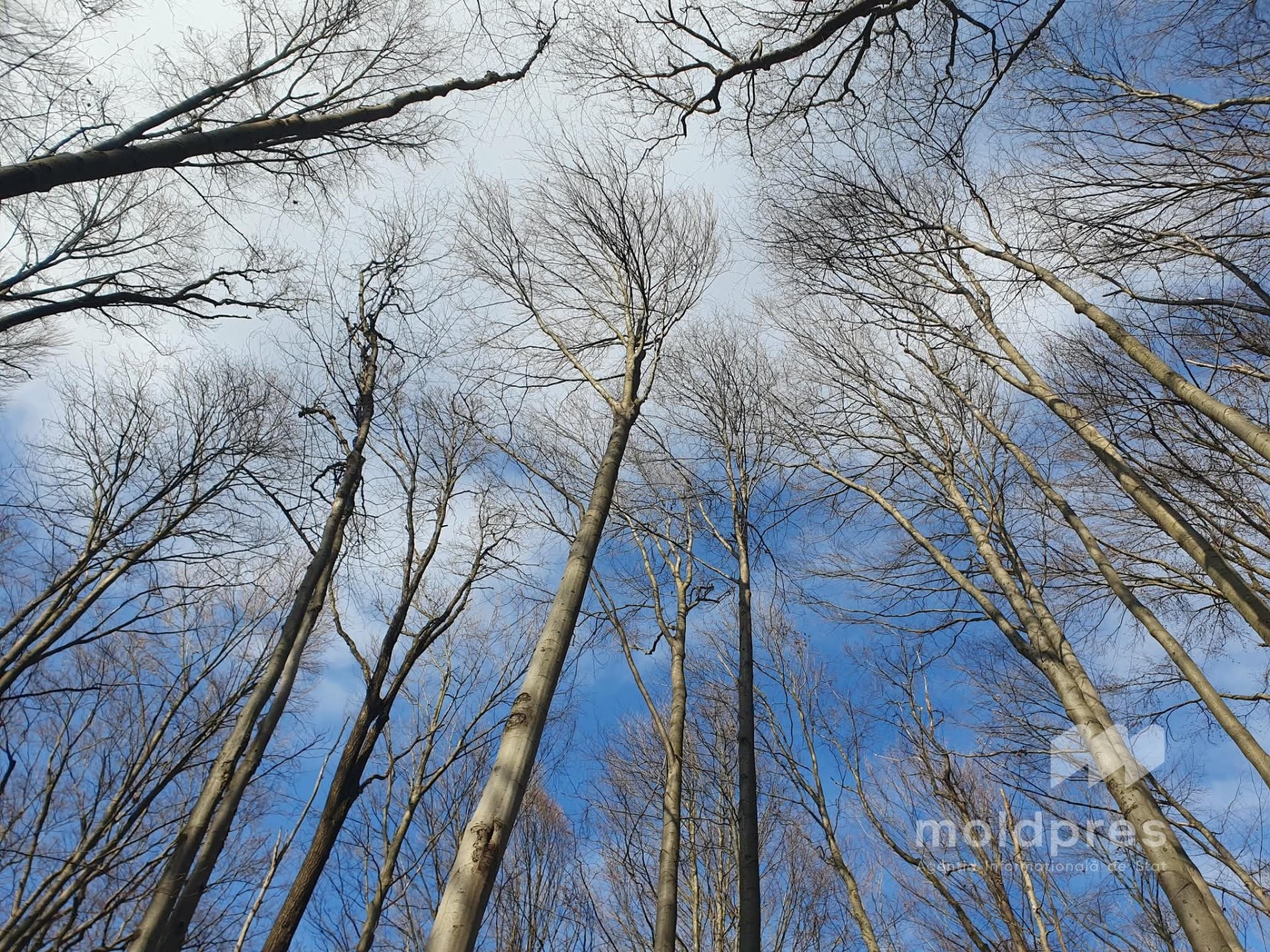 Vreme variabilă și rafale de vânt pentru ziua de marți: temperaturi de până la 15 grade