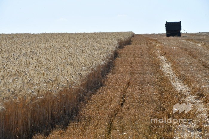 Programul „Facilitatea de Creditare în Agricultură” a finanțat peste 400 de proiecte în ultimul an