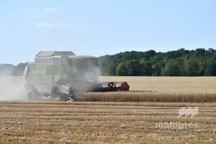 Program de finanțare europeană pentru sectorul agroalimentar, deschis până la sfârșitul lunii aprilie