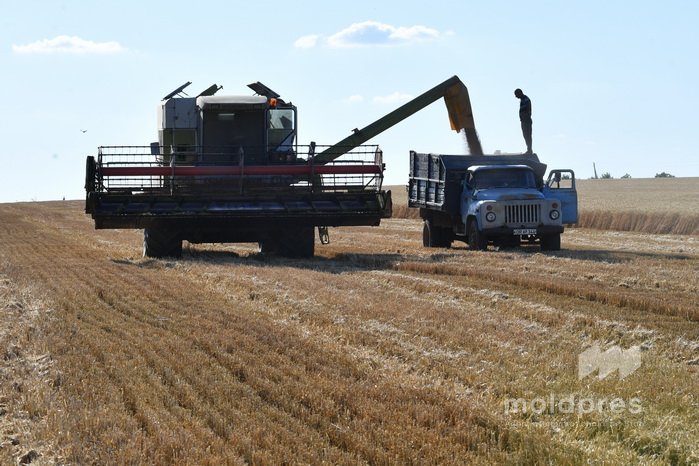 VIDEO // Ministerul Agriculturii lansează instrumentul „Capital circulant agricol”, ca sprijin pentru lucrările sezoniere
