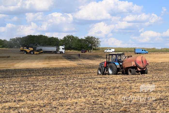 Subvenții de peste 56 de milioane de lei, autorizate pentru agricultori și proiecte de dezvoltare rurală în luna iulie