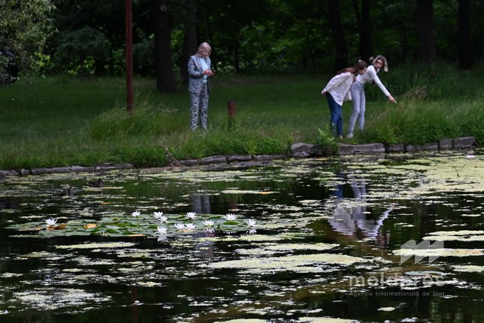FOTO // Vara în Grădina Botanică: trandafiri, nuferi și colecții unice de plante atrag vizitatorii din întreaga țară