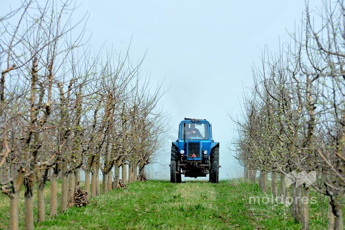Peste 166 de milioane de lei au fost autorizate de AIPA pentru subvenționarea fermierilor în luna martie
