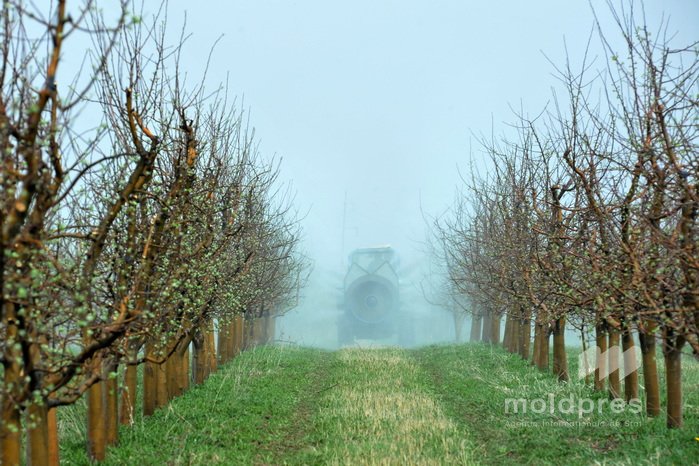 VIDEO // AIPA a valorificat 40% din fondul anual pentru agricultură în primele trei luni ale anului 2026