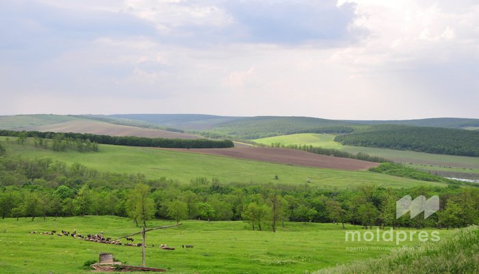 Meteorologii prognozează vreme frumoasă și caldă pentru zilele de odihnă