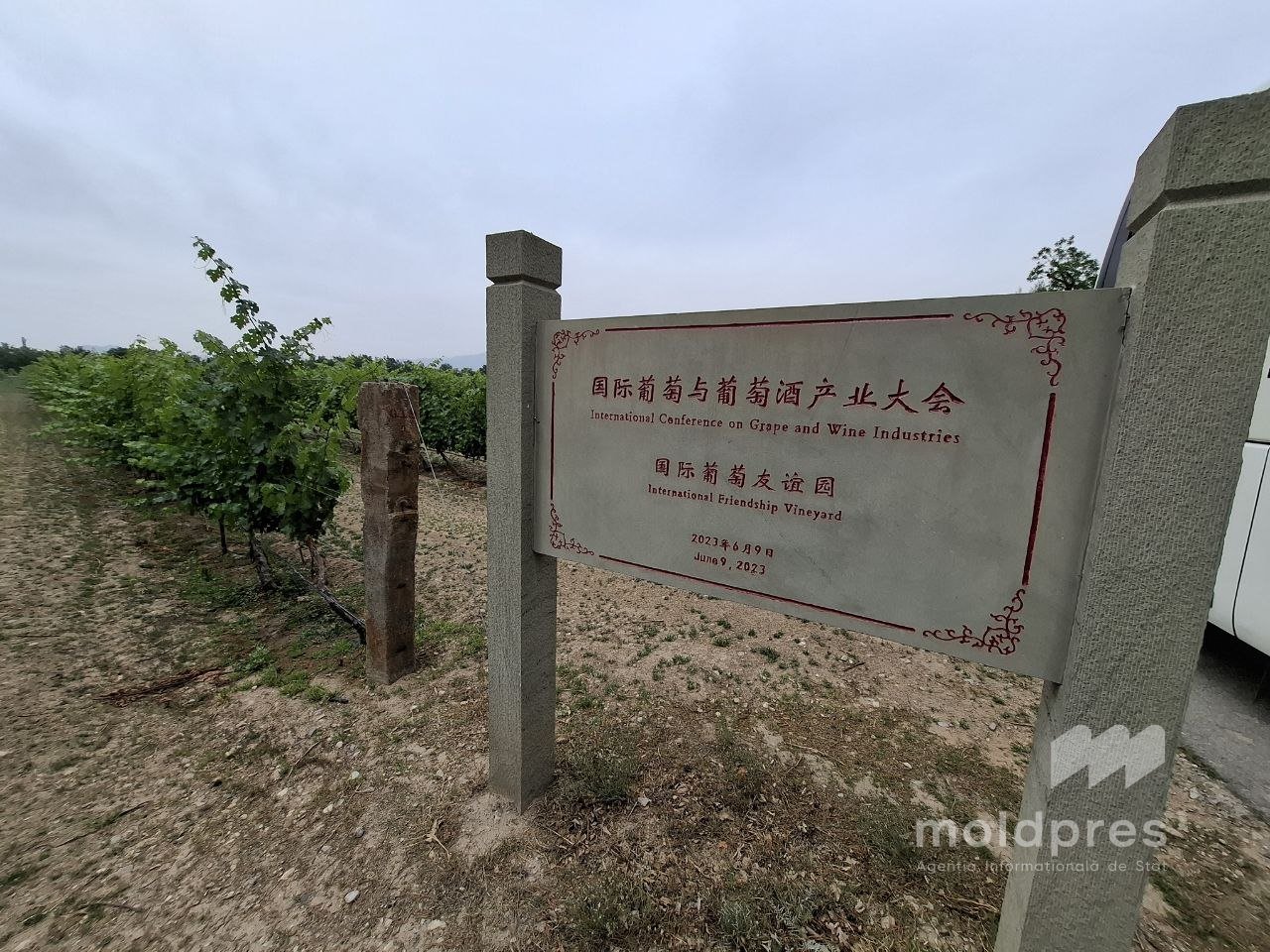 REPORTAJ MOLDPRES // De la carieră de piatră la medalii: China își croiește propriul drum în lumea vinului, dar recunoaşte excelenţa producției din Moldova