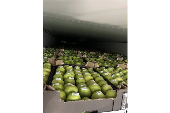Партия молдавских яблок экспортирована в Швецию