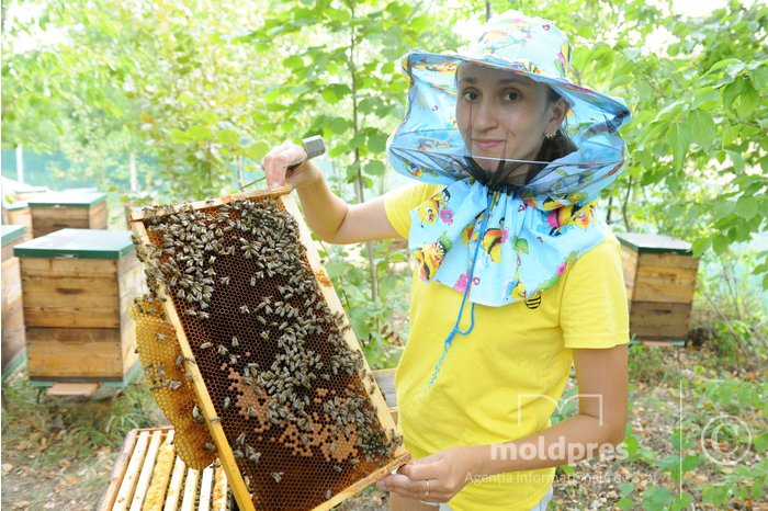 Discover Moldova with #MOLDPRES: Apitherapy, excursion with tasting honey at bee garden from Moldova's Forests   