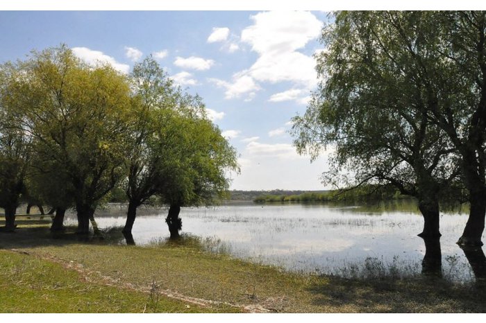 METEO: Moderately warm weather expected in Moldova in next week-end 