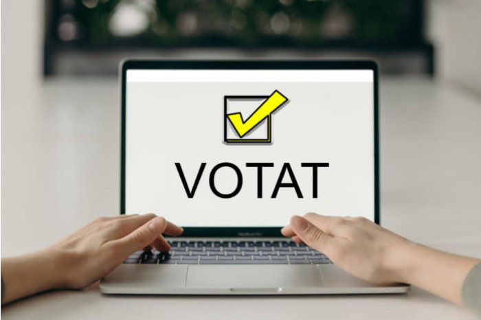 Electronic voting system to be set in local, district, municipal councils