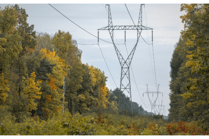 Technical project for construction of Vulcanesti-Chisinau overhead power line approved